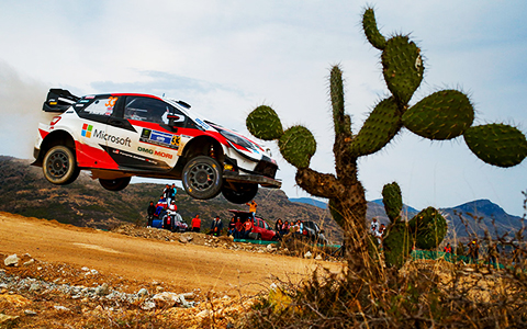墨西哥・拉力赛