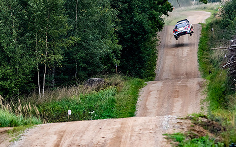 爱沙尼亚・拉力赛