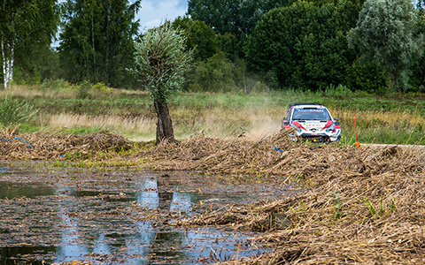爱沙尼亚・拉力赛